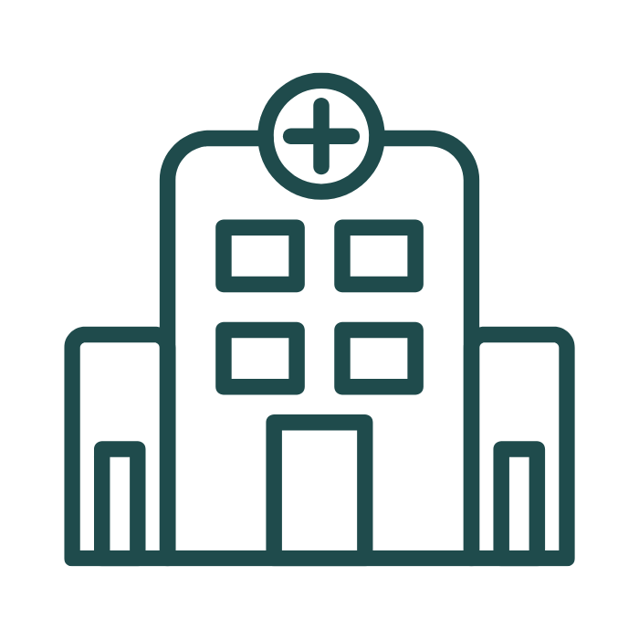 Government icon